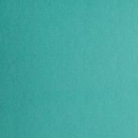 MS Albums LEATHER_0002s_0003_spring tide