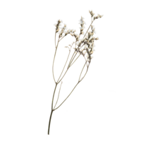 Untitled design (23)