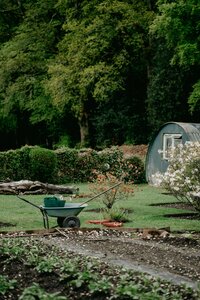 Permaculture for Homesteaders and Regenerative Farmers in North Texas and Oklahoma. Grow food sustainably. 