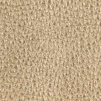 Leather-Metallic-Champagne