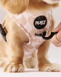 Logo for Ruley Co Brand Identity and Visuals