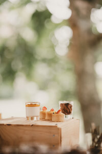 Paardenfotograaf Beringen, Limburg