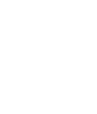 Simple line drawn botanical illustration