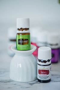 YL photos 2.21.18-33