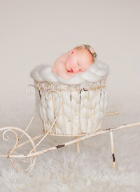 newborn photographer traverse city