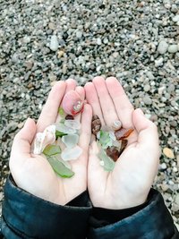 IMG_7063
