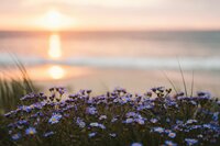 Zenaa Retreats_Wellness Break