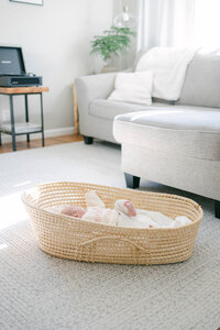baby laying in basket in home with sunlight pouring in the windows knoxville tennessee newborn photographer