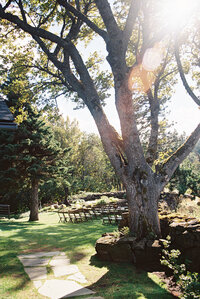 Sun shining through trees at The Griffin House venue, representing the artistic style of Oregon Wedding PHotographer Among The Oaks