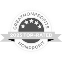 LiveWell Healthcare Showit Template by Humankind