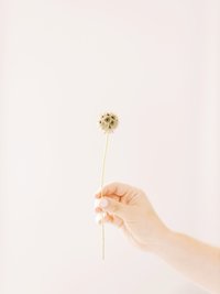 Bride and groom walk up memorial steps at their DC wedding