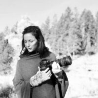 Equine Photographer