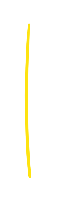 Yellow decorative brand line used in Sophie K Hunter brand photography to create cohesive visual identity