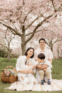 A family sitting on a picnic blanket during their family photoshoot at an auckland park