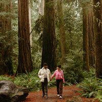 A photo of Ahna Maria Photography and her husband in the redwood forest in California.