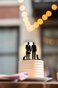 Wedding cake for groom and groom