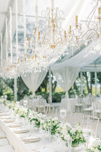 Pure Luxe Bride - Luxury Wedding Planning and Event Design - Charleston SC Wedding Planners - Morgan+Tom-LowndesGroveWeddingbyAaronandJillianPhotography-486