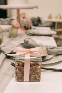 Clear Potpourri Boxes (Party Favor)