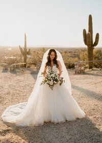 Tanque Verde Ranch Wedding in Tucson Arizona