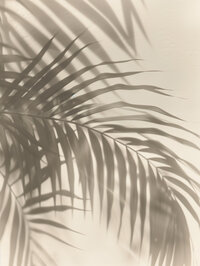 refancy-summer-zen-45-2