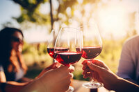 Culinary and Wine Journeys
