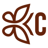 Kidwell Coaching and Consulting Submark Logo of Butterfly on its side forming the initial K and a C next to it.