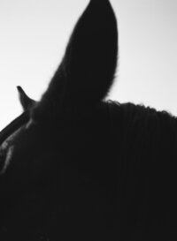 NH Wedding Photographer | Concord, NH | New Hampshire