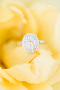 TravPresProposal0135