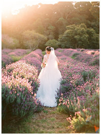 Bride with wedding flowers