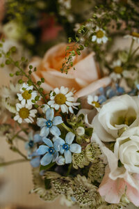 Stokksnes Beach Iceland Elopement