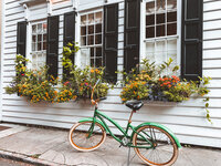 Charleston, SC Maternity Photographer.