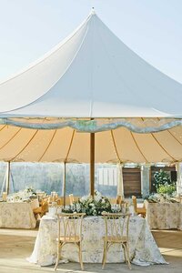 Napa Valley Wedding Photo in Vineyard