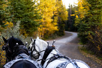 Aubre creating a mood board by collaging photos and color swatches