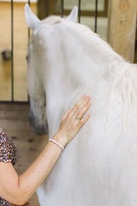 A close-up of a hand gently resting on a horse’s coat, symbolizing healing connection