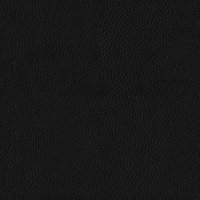 fabric_premium_leather_black