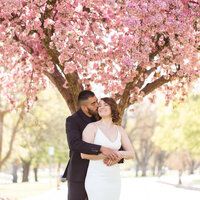groom hugging bride from behind under a pink flowering tree at Julia Davis Park