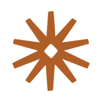 Born to Roam brand element star