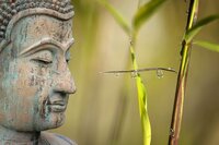 Tranquil Buddha with bamboo illustrates the peaceful nature cultivated through the practice of Tai Chi Gung.