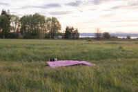 Proposal setup with picnic blanket, bouquet of flowers, and a custom sign at Discovery Park