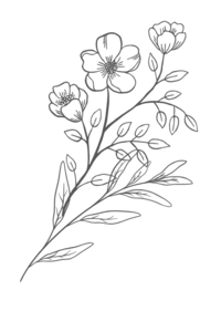 An illustration of a small bouquet of flowers