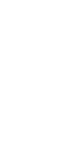 Feathers - White - 18