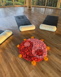 A woman at the beach looking out at the ocean.