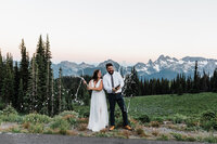 Mt Rainier Nati