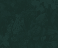 Green Flower Pattern 2