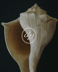 491443909_18061793918025183_4520476807435049578_n