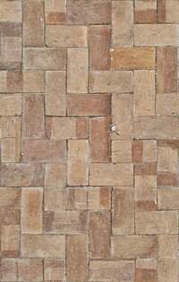 Brick patio pavers are arranged in a pattern on a walkway in Missoula Montana.