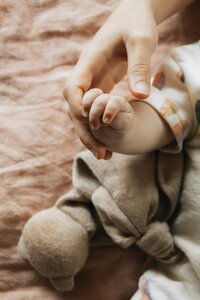 febe-vanermen-gibNcsYFvvc-unsplash