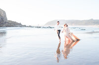 Cannon beach destination elopement Seattle, Washington wedding photographer