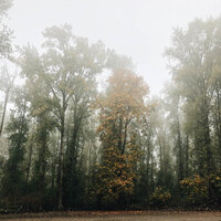 socialsquares_fallrandoms001-2