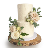Whippt Kitchen wedding cake stucco buttercream Sept 2021 2